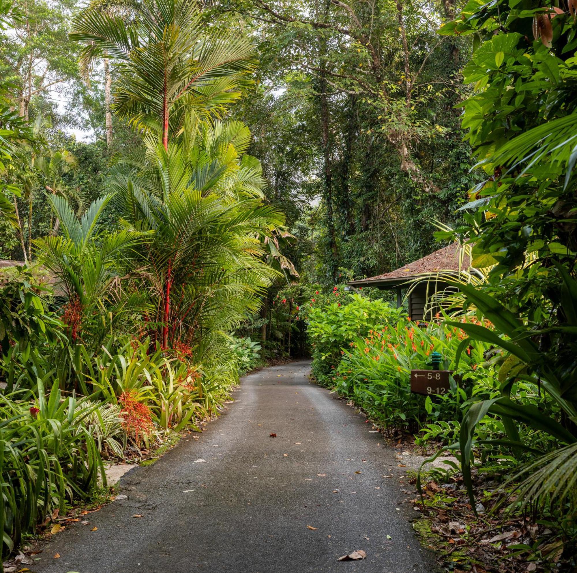 Heritage Lodge - In The Daintree Exterior foto