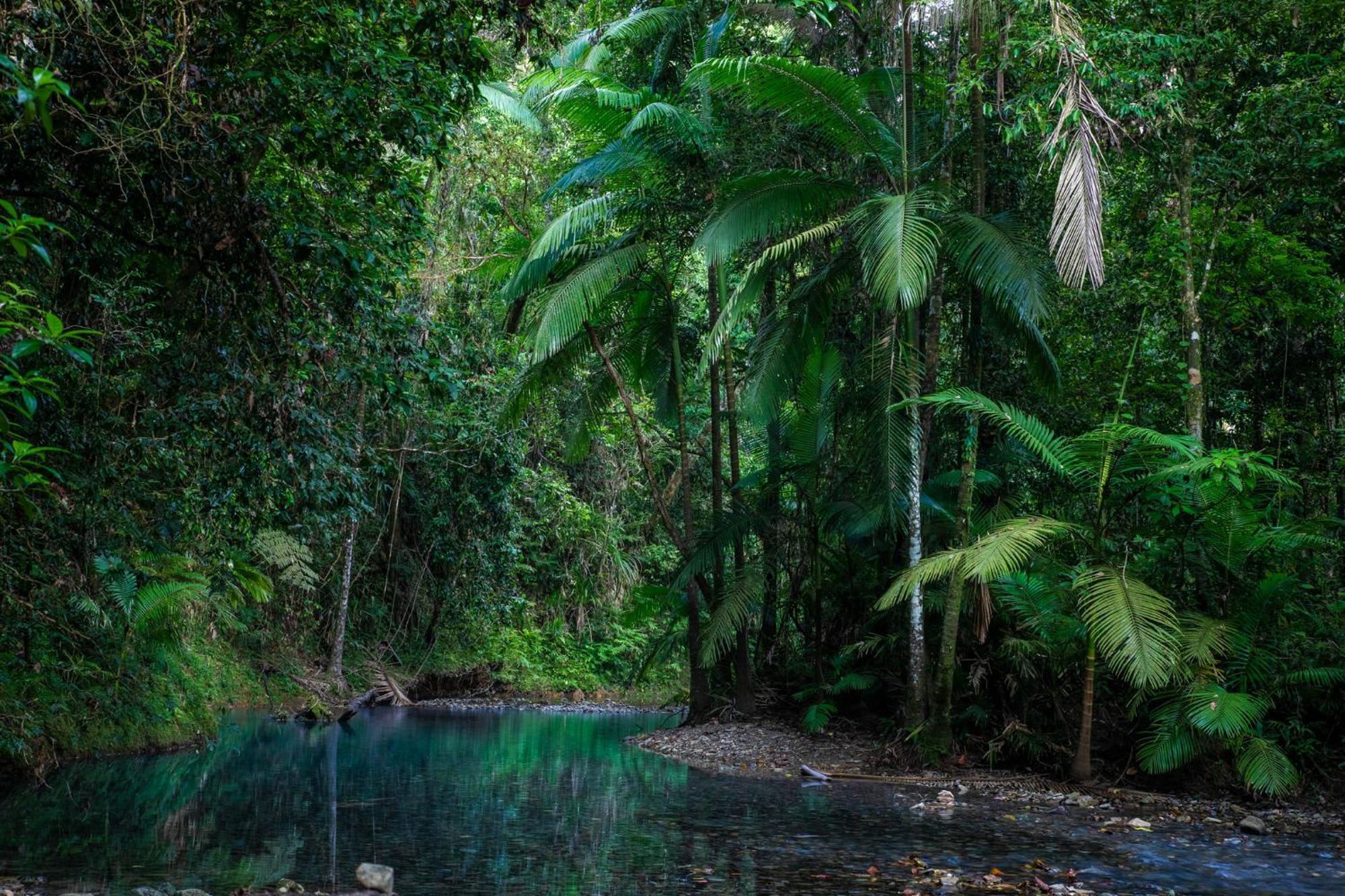 Heritage Lodge - In The Daintree Exterior foto
