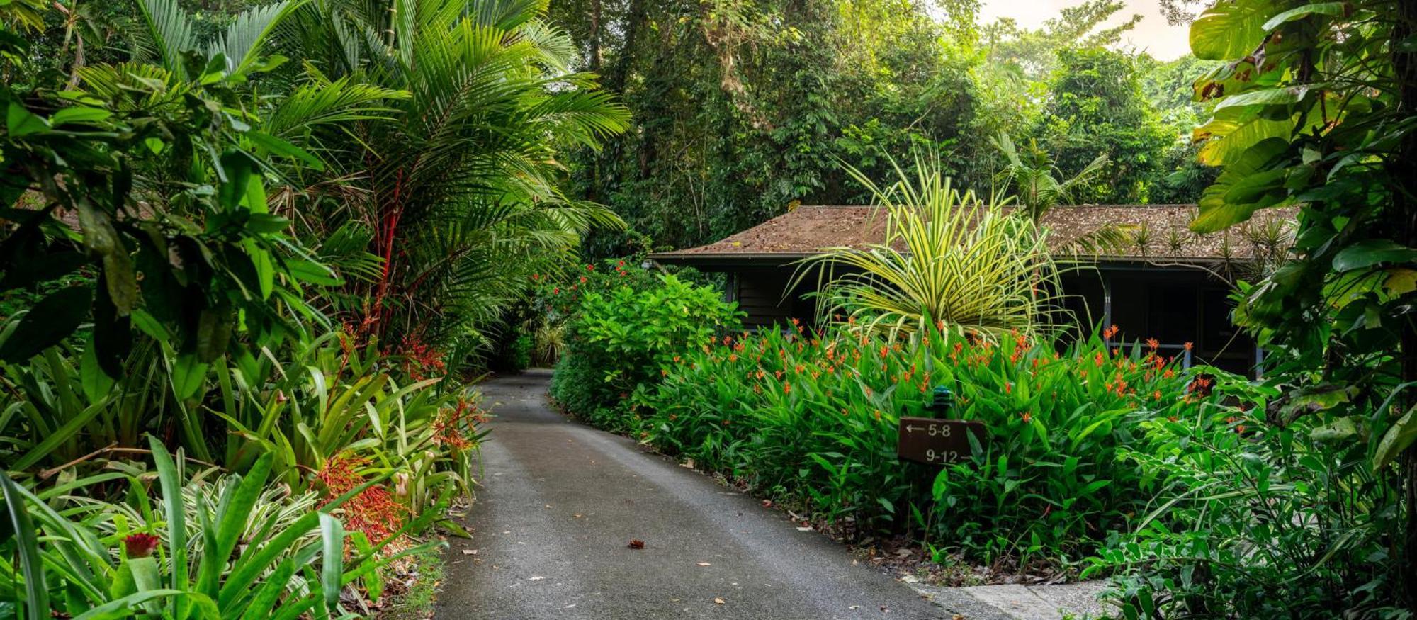 Heritage Lodge - In The Daintree Exterior foto