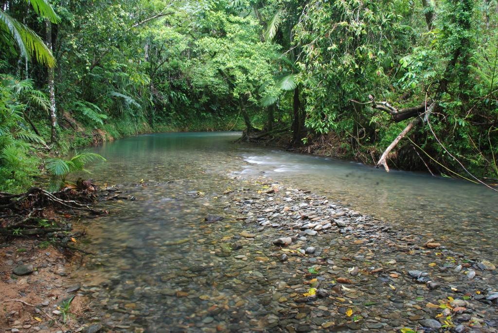 Heritage Lodge - In The Daintree Exterior foto